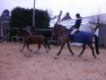 /album/galerie-photos/marie-tandem-jpg1/